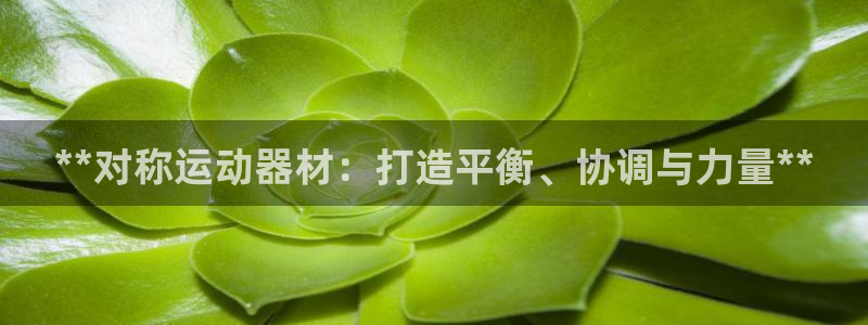 意昂3集团简介：**对称运动器材：打造平衡、协调与力