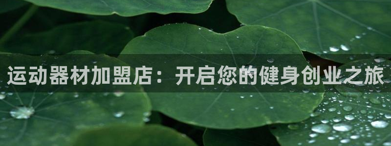 意昂体育3平台注册要钱吗：运动器材加盟店：开启您的健身创业之