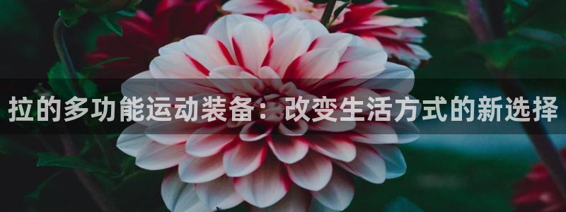 意昂体育3平台是正规平台吗知乎