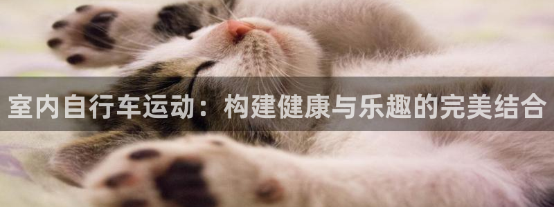 意昂3娱乐下载
