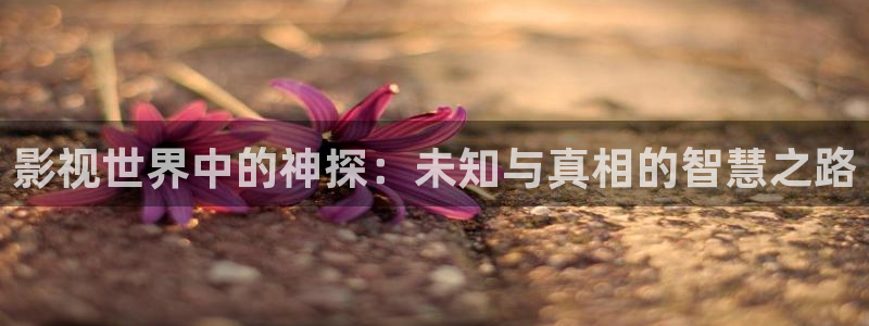 汤姆网址