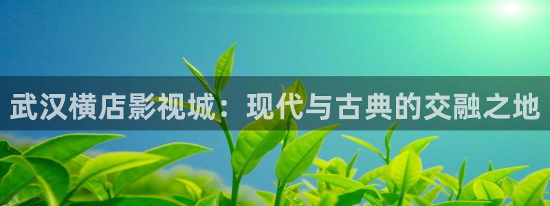 汤姆tv