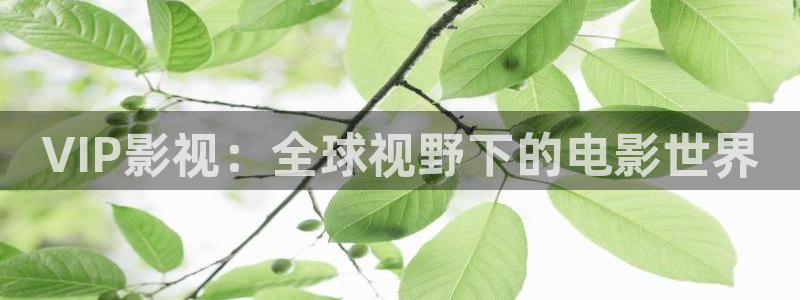 汤姆影院官网入口