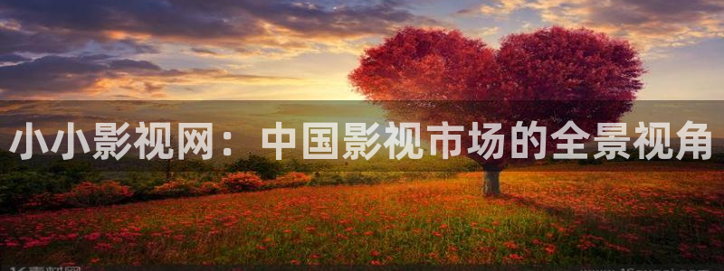 汤姆tv
