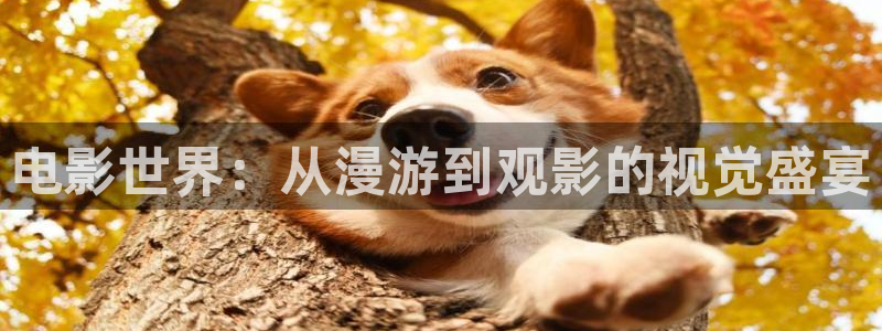 汤姆高清影视