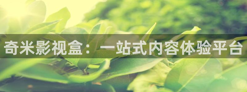 汤姆电影在线观看