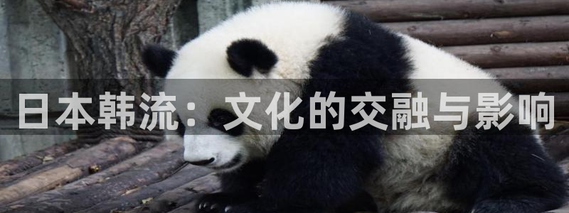 汤姆高清电影院